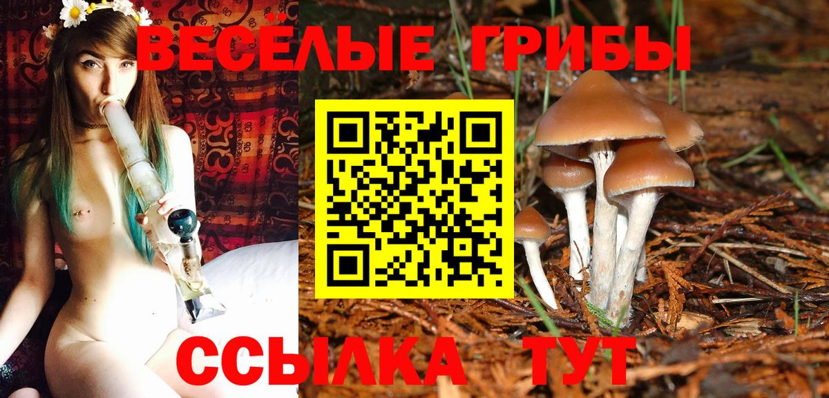 Нижний Новгород  Псилоцибиновые грибы Cubensis  Вход с VPN 