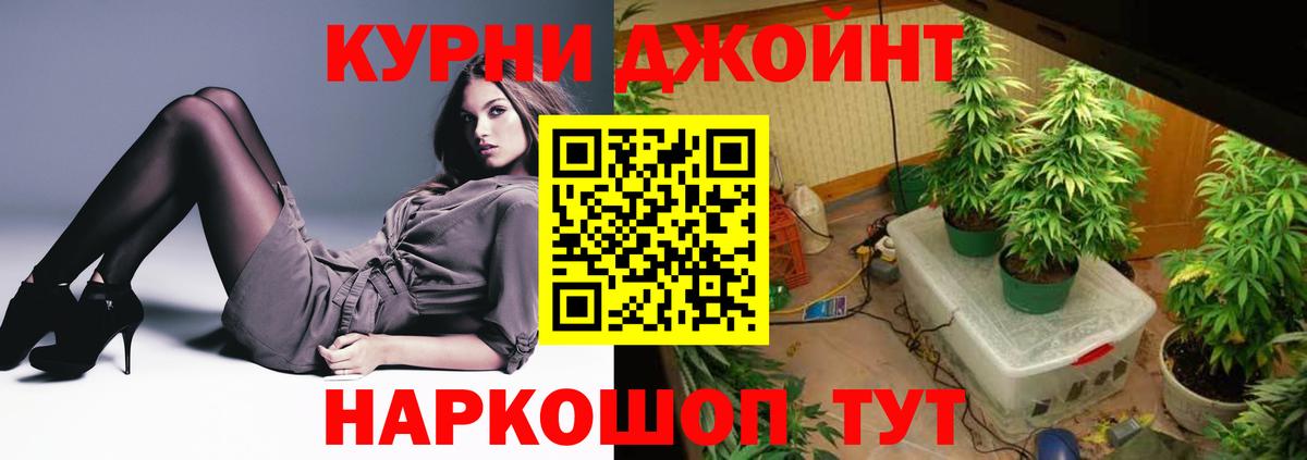 Конопля MAZAR  Бошки Шишки AK-47  Нижний Новгород  Вход с VPN  Бошки Шишки тримм 
